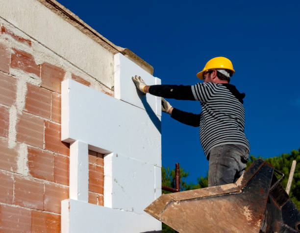 Best Insulation Removal  in Linntown, PA