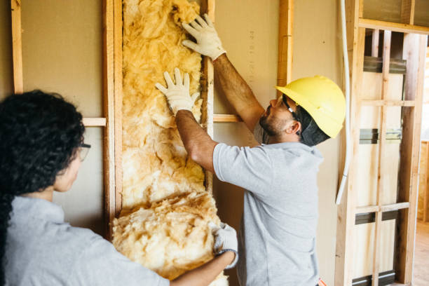 Best Professional Insulation Contractor  in Linntown, PA